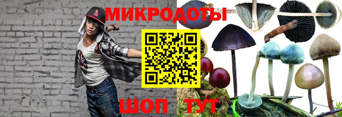 Псилоцибиновые грибы Magic Shrooms  Галлюциногенные грибы Psilocybine cubensis  Химки  как найти закладки  Вход с VPN 